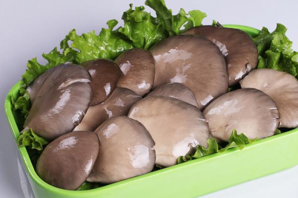 平菇市场价格多少钱一斤 平菇的挑选方法