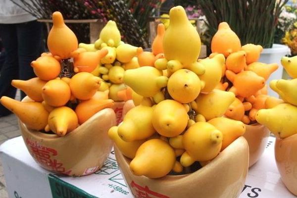 黄金果市场价格多少钱一斤 黄金果是什么