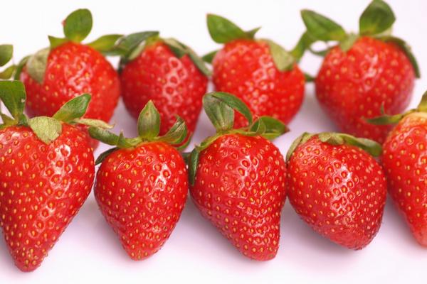 种一亩草莓能赚多少钱？种草莓的成本和利润
