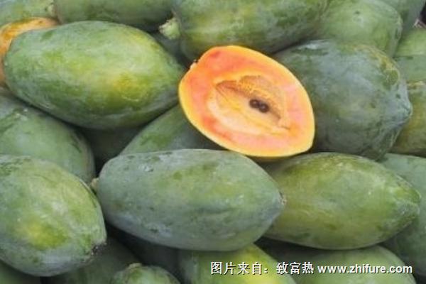 木瓜价格多少钱一斤