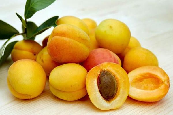 杏子市场价格多少钱一斤 吃杏子有什么好处