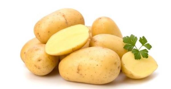 马铃薯价格多少钱一斤