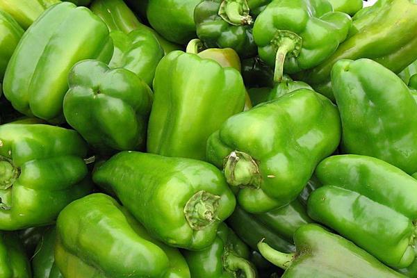 青椒价格多少钱一斤