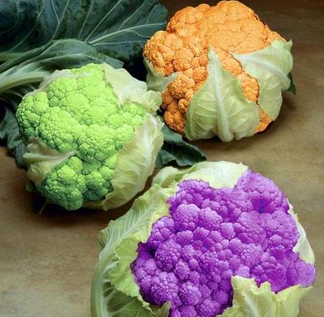 彩色花椰菜价格多少钱一斤