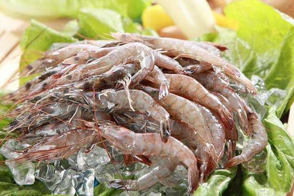 淡水养虾的成本和利润