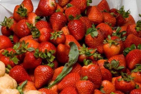 种一亩草莓能赚多少钱？种草莓的成本和利润