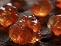 桃树胶的价格多少钱一斤