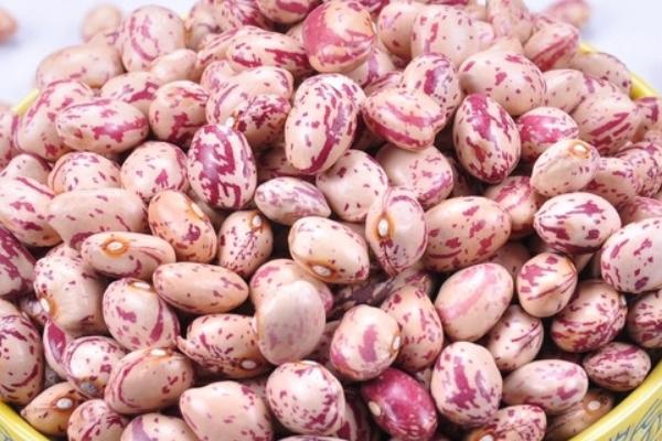 芸豆价格多少钱一斤