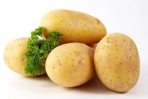 土豆市场价格多少钱一斤