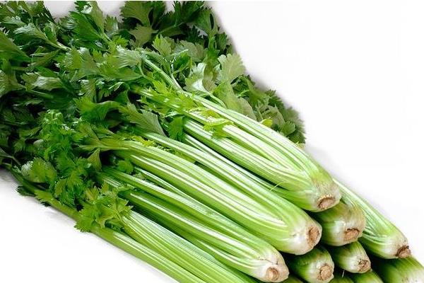 芹菜市场价格多少钱一斤