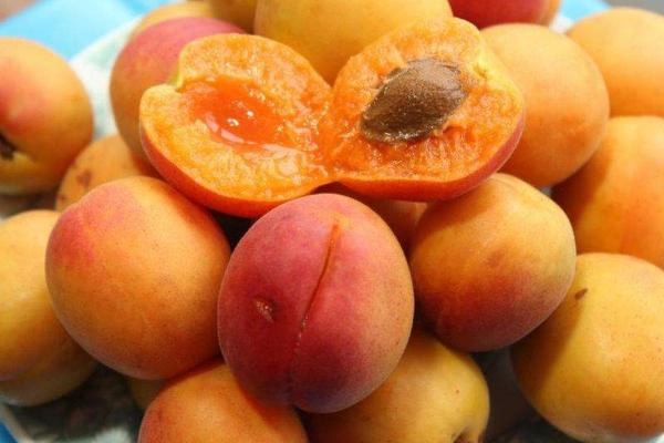 杏子市场价格多少钱一斤 吃杏子有什么好处