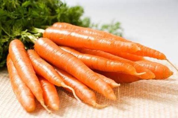 胡萝卜价格多少钱一斤