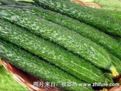 江苏：大部分菜品均处于量多价低状态