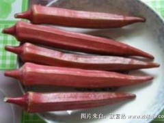 红秋葵价格多少钱一斤
