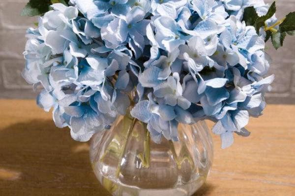 绣球花怎么在花瓶里养 绣球花可以做干花吗