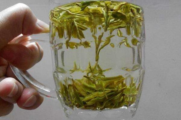 龙井茶的功效与作用及禁忌 喝龙井茶有什么好处