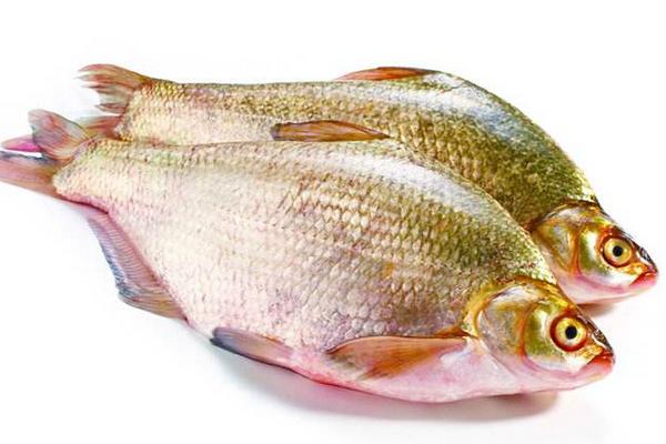 武昌鱼市场价格多少钱一斤 孕妇可以吃武昌鱼吗