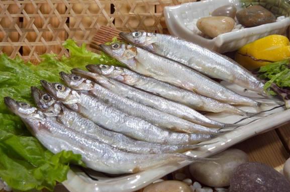 多春鱼市场价格多少钱一斤 多春鱼的营养价值