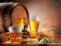 种植啤酒大麦的技术