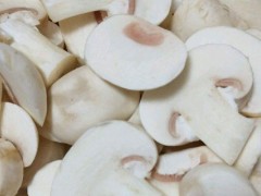 口蘑市场价格多少钱一斤,口蘑产地在哪里