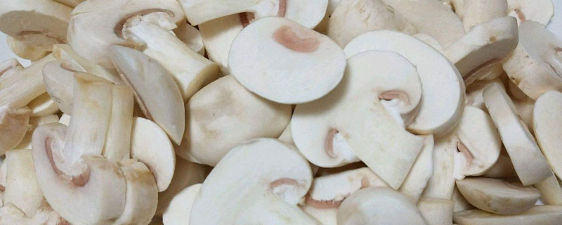 口蘑市场价格多少钱一斤 口蘑产地在哪里