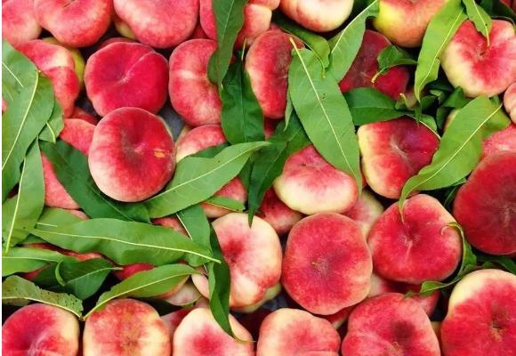 蟠桃市场价格多少钱一斤 蟠桃营养价值