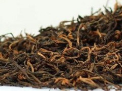 古树红茶市场价格多少钱一斤,古树红茶的特点及