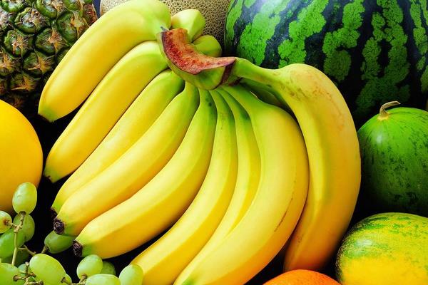 香蕉市场价格多少钱一斤 香蕉的产地