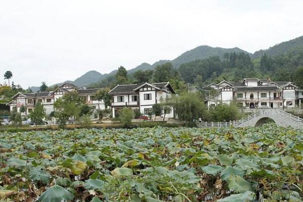 未来十年农村发展趋势