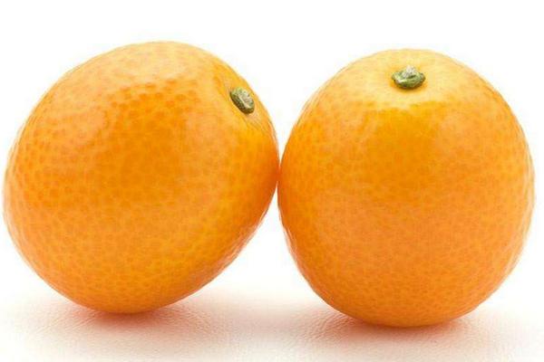 金钱橘市场价格多少钱一斤 金钱橘产地在哪里