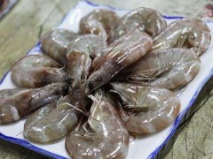 海虾市场价格多少钱一斤,海虾有哪些品种