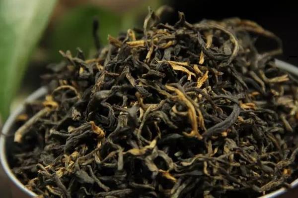 古树红茶市场价格多少钱一斤 古树红茶的特点及功效