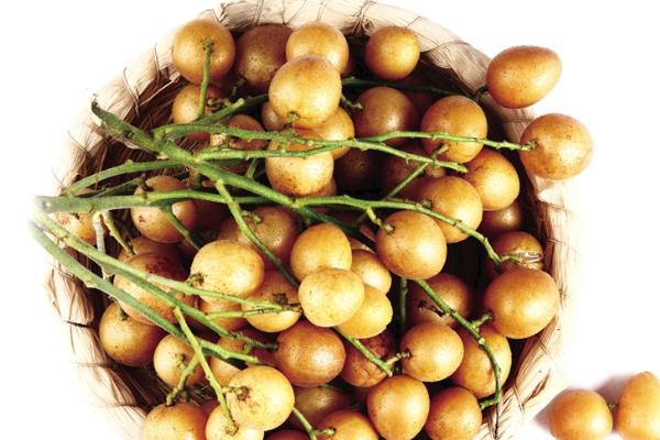 黄皮果市场价格多少钱一斤 黄皮果的营养价值
