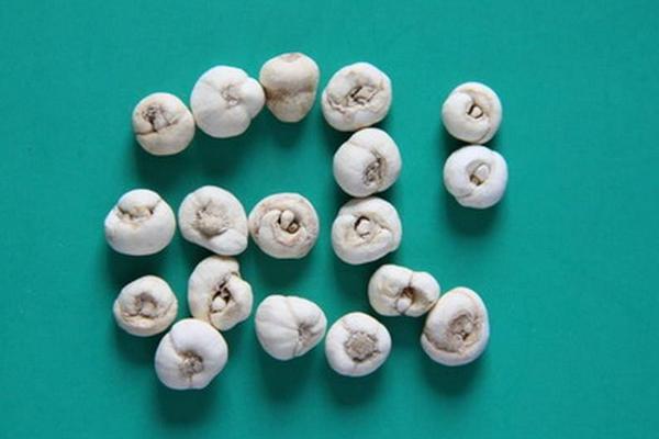 平贝母的功效与作用及禁忌 平贝母市场价格多少钱一斤