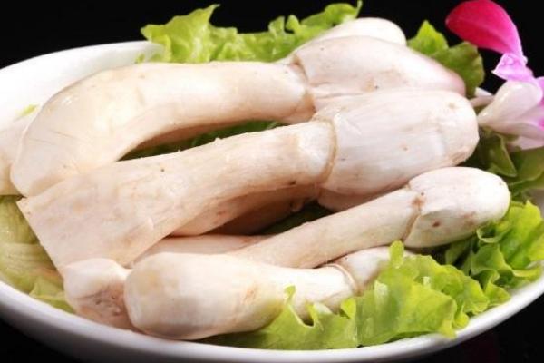 毛头鬼伞菇市场价格多少钱一斤,毛头鬼伞菇什么 - 达达搜