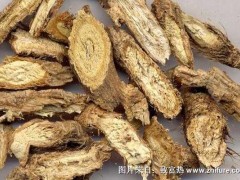 2018种防风赚钱吗?防风种植的利润与投资成本及前