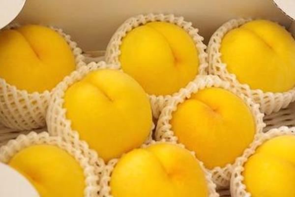 黄桃市场价格多少钱一斤 黄桃的营养价值