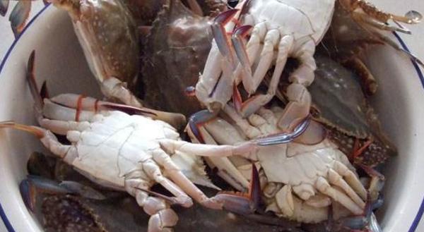 海蟹市场价格多少钱一斤 海蟹怎么洗干净