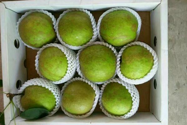 焦溪蜜梨市场价格多少钱一斤 焦溪蜜梨的由来