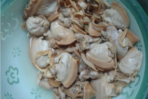 河蚌市场价格多少钱一斤 大河蚌怎么吃
