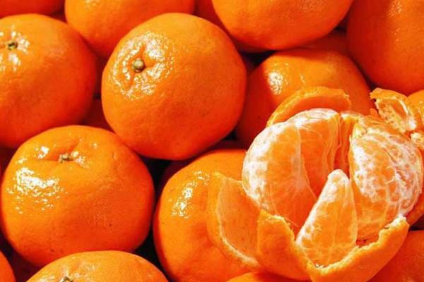 橘子树怎么种 橘子种植方法与注意事项