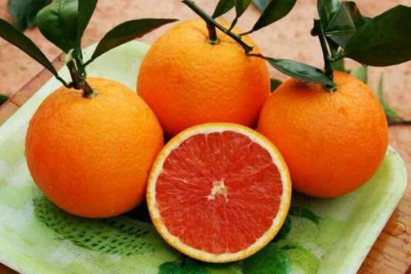 血橙市场价格多少钱一斤 血橙吃了有什么好处