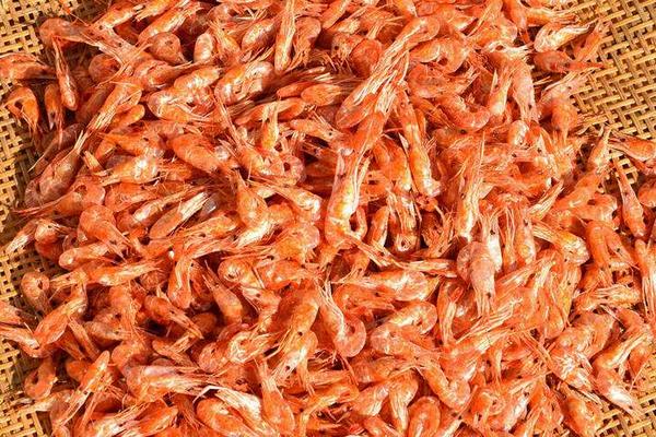 虾米市场价格多少钱一斤 虾米可以生吃吗