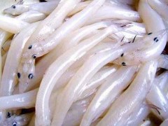白肌银鱼市场价格多少钱一斤,白肌银鱼为什么透