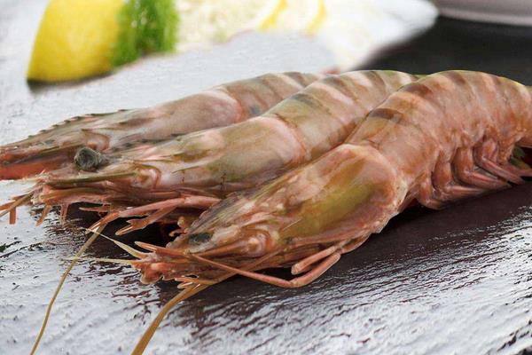老虎虾市场价格多少钱一斤 老虎虾是哪个国家的 老虎虾是海水虾吗