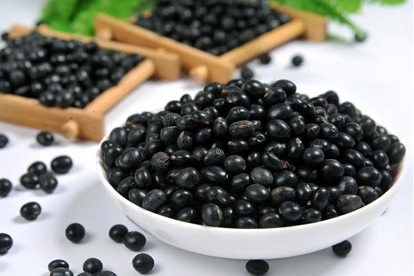 黑豆的功效与作用及禁忌 黑豆营养价值