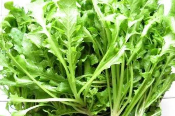 菱角菜的功效与作用 菱角菜的营养价值