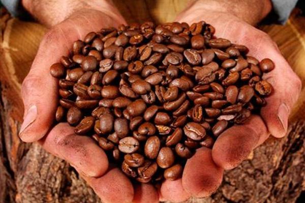 世界十大咖啡排名 各种咖啡的区别是什么