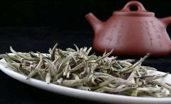 白牡丹茶市场价格多少钱一斤 白牡丹茶是花茶还是白茶