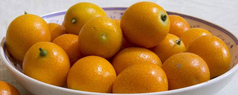 金钱橘市场价格多少钱一斤 金钱橘产地在哪里
